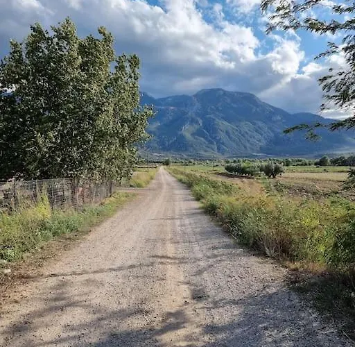 Casa vacanze Σύγχρονο Σπίτι Στο Χωριό Lianokladhion